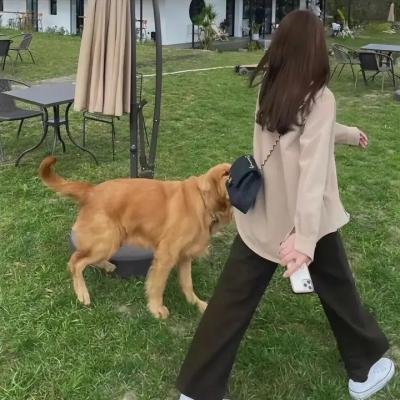 王牌保镖2
