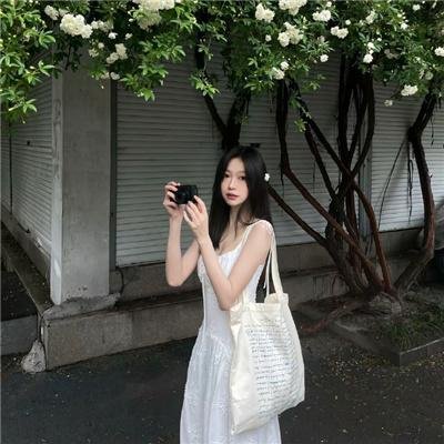 完美独裁